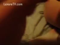 Dog oral sex a smelly pussy